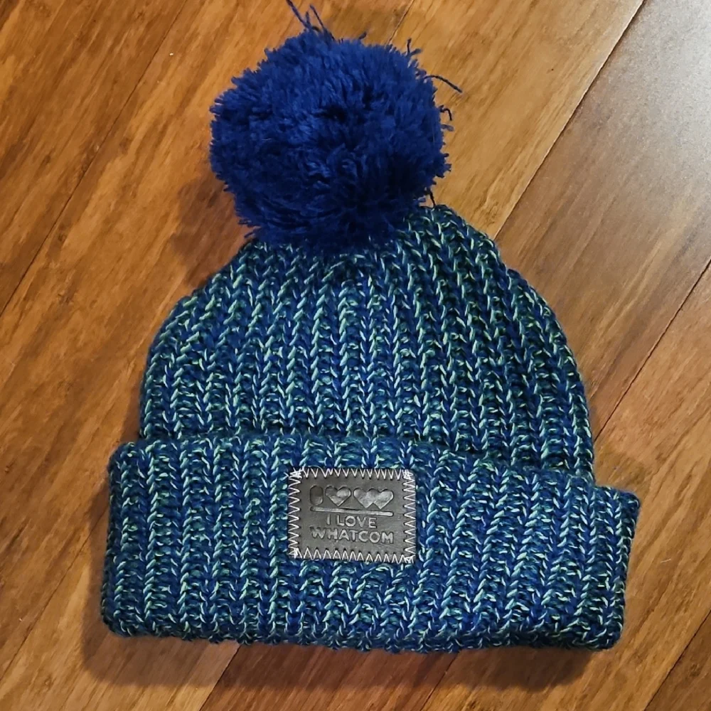 Blue and Green Knit Pom-Pom Beanie
